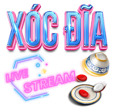 X&oacute;c đĩa vic88